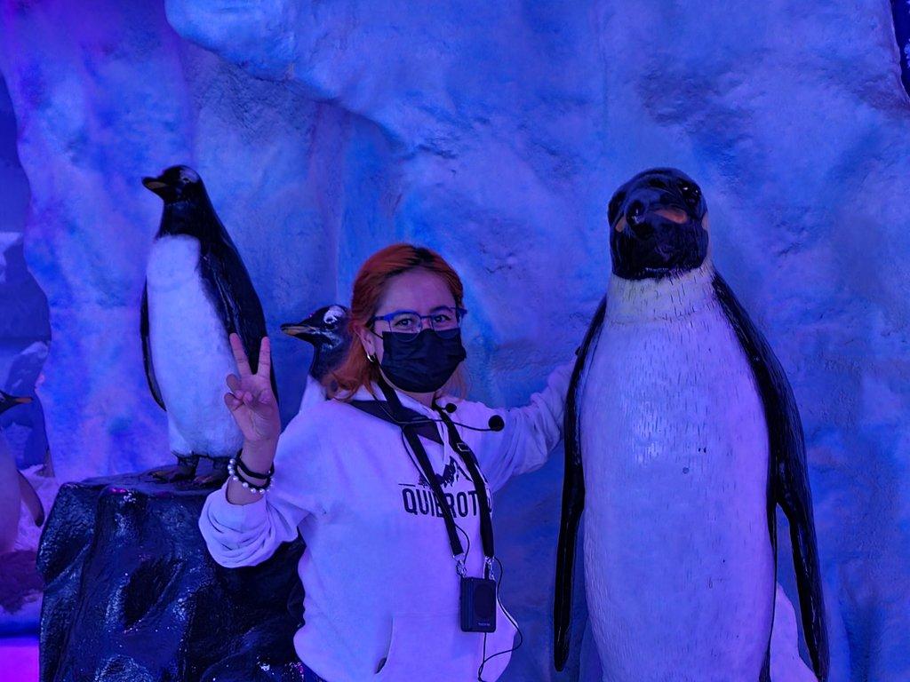 Acuario Inbursa y Zoológico de Chapultepec, CDMX