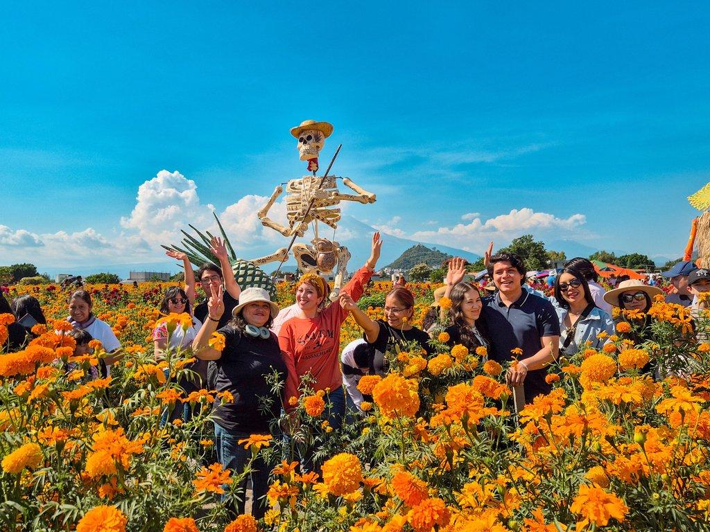 Campos de Cempasúchil en Atlixco, Puebla saliendo de Querétaro