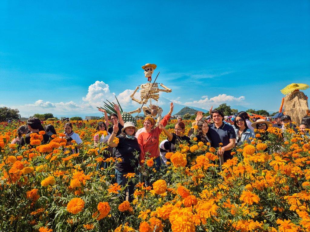 Campos de Cempasúchil en Atlixco, Puebla saliendo de CDMX